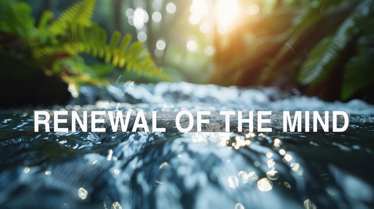 Renewal of the Mind Class: CSSM Elective