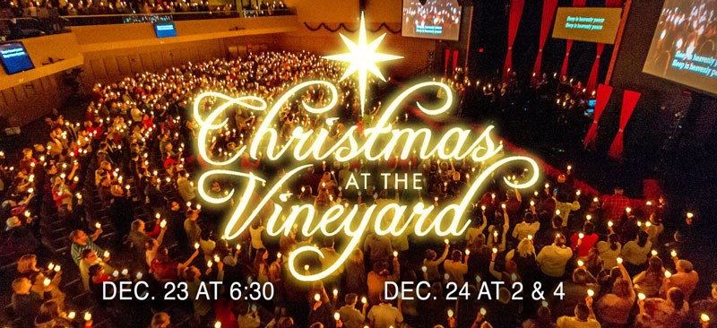 Christmas at the Vineyard