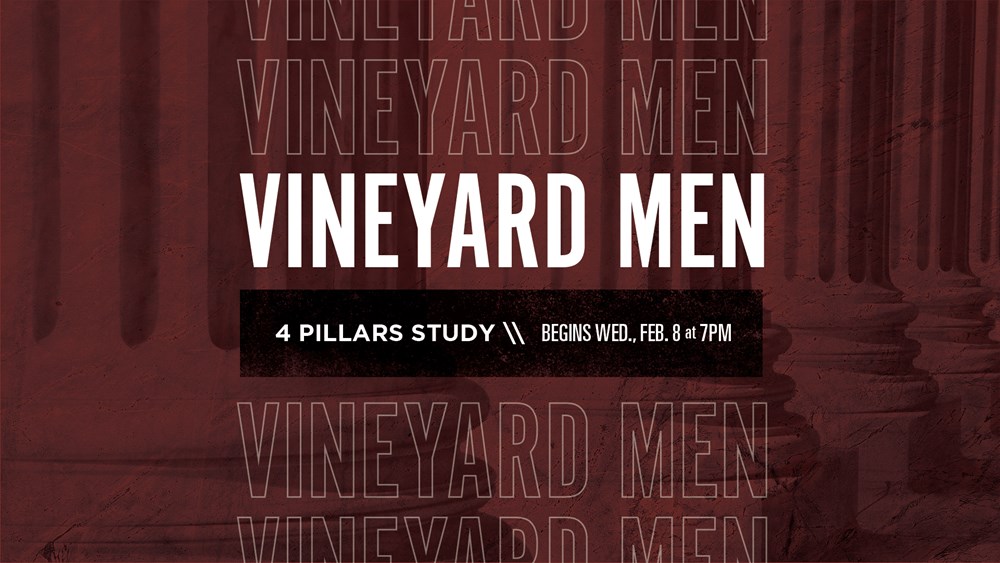 4 Pillars Vineyard Men's Study