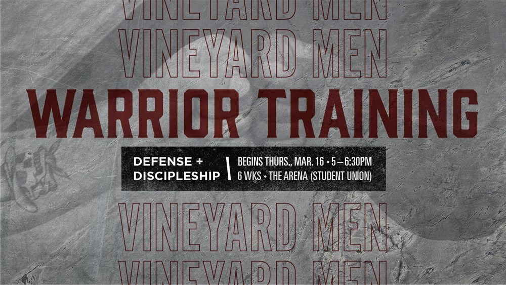 Vineyard Men Warrior Training